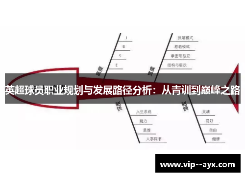 英超球员职业规划与发展路径分析：从青训到巅峰之路