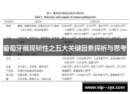 葡萄牙展现韧性之五大关键因素探析与思考