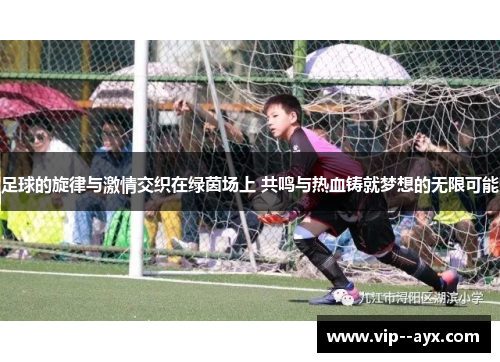 足球的旋律与激情交织在绿茵场上 共鸣与热血铸就梦想的无限可能