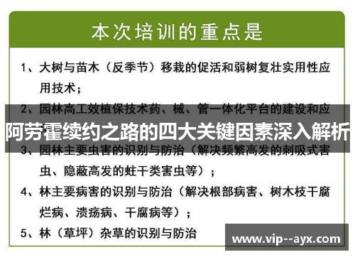 阿劳霍续约之路的四大关键因素深入解析 阿劳霍续约之路的四大关键因素深入解析
