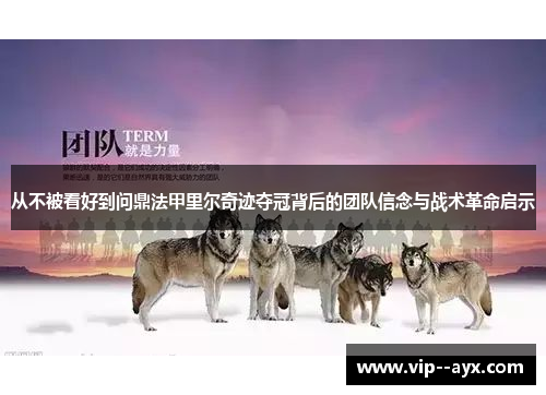 从不被看好到问鼎法甲里尔奇迹夺冠背后的团队信念与战术革命启示 从不被看好到问鼎法甲里尔奇迹夺冠背后的团队信念与战术革命启示